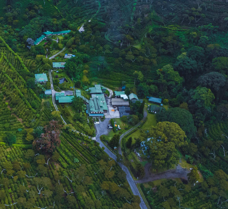 Aerial View of Finca Lerida in Boquete for Coffee Tours