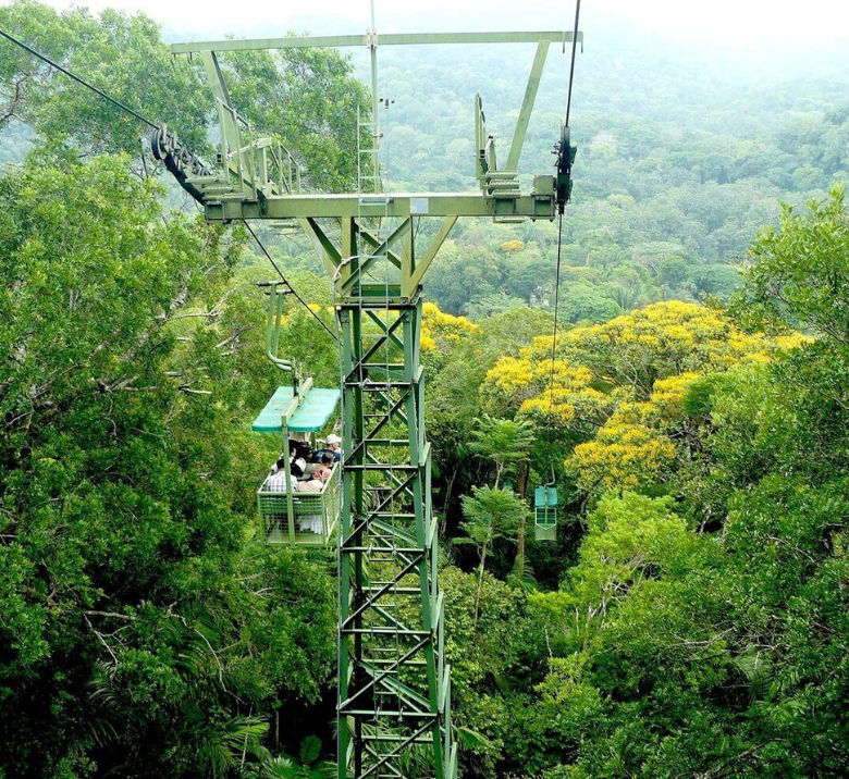 Gamboa Tree Canopy Panama City