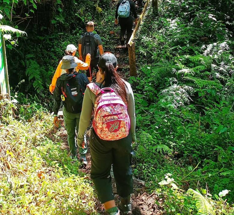 a scenic hike of Sendero Los Quetzales in Boquete