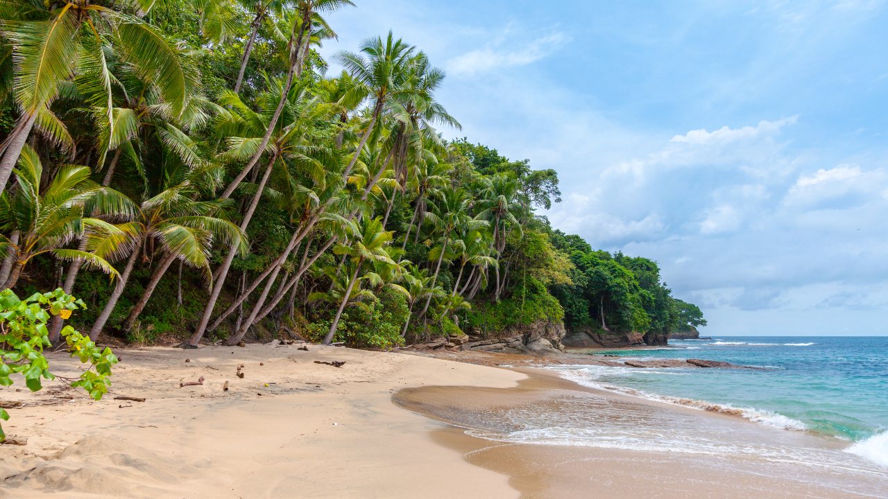 view of Playa Blanca Beach on Isla Saboga